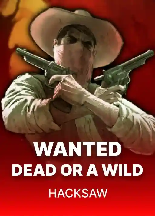 Wanted Dead or a Wild game poster
